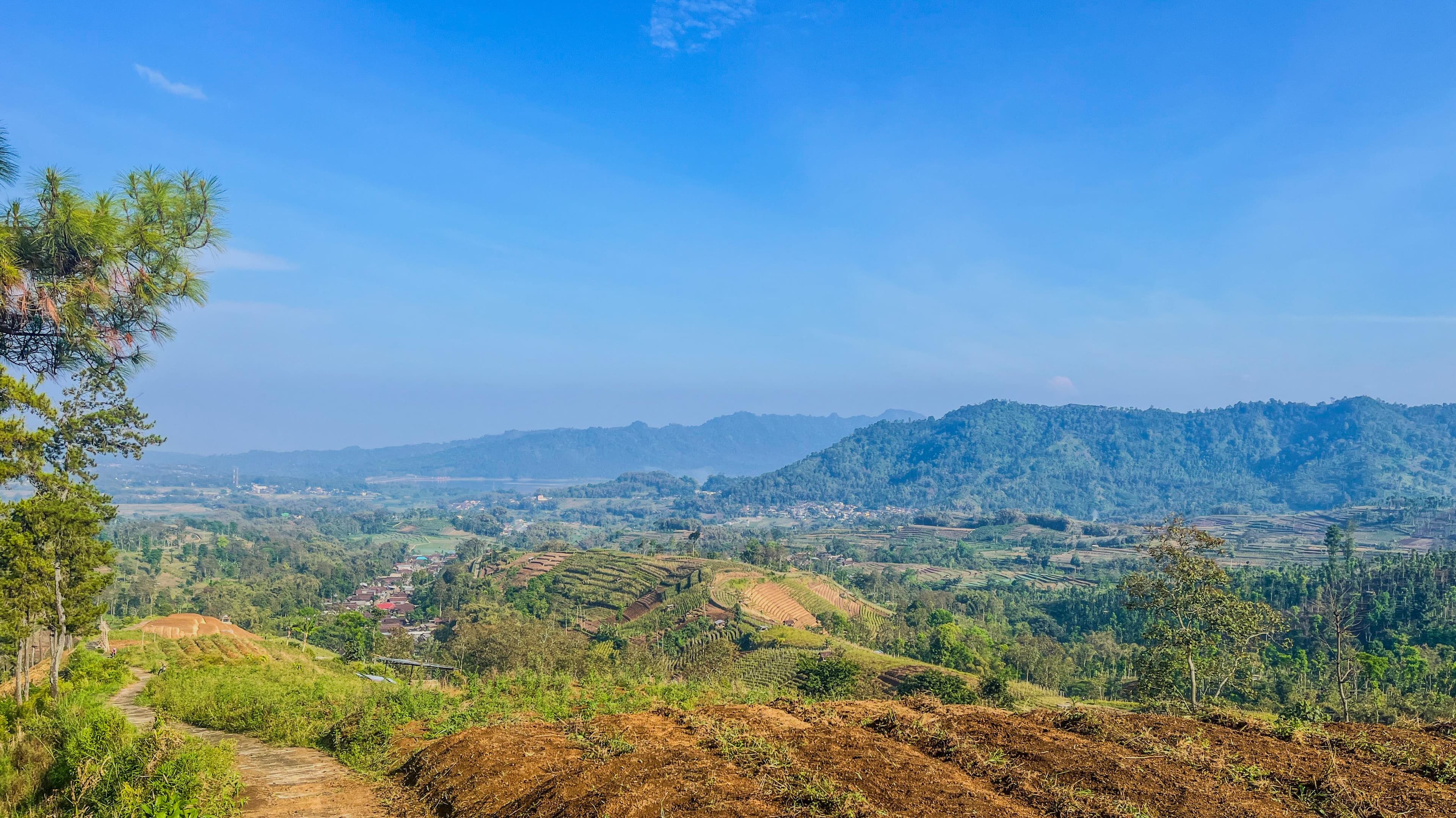 bottom view purworejo