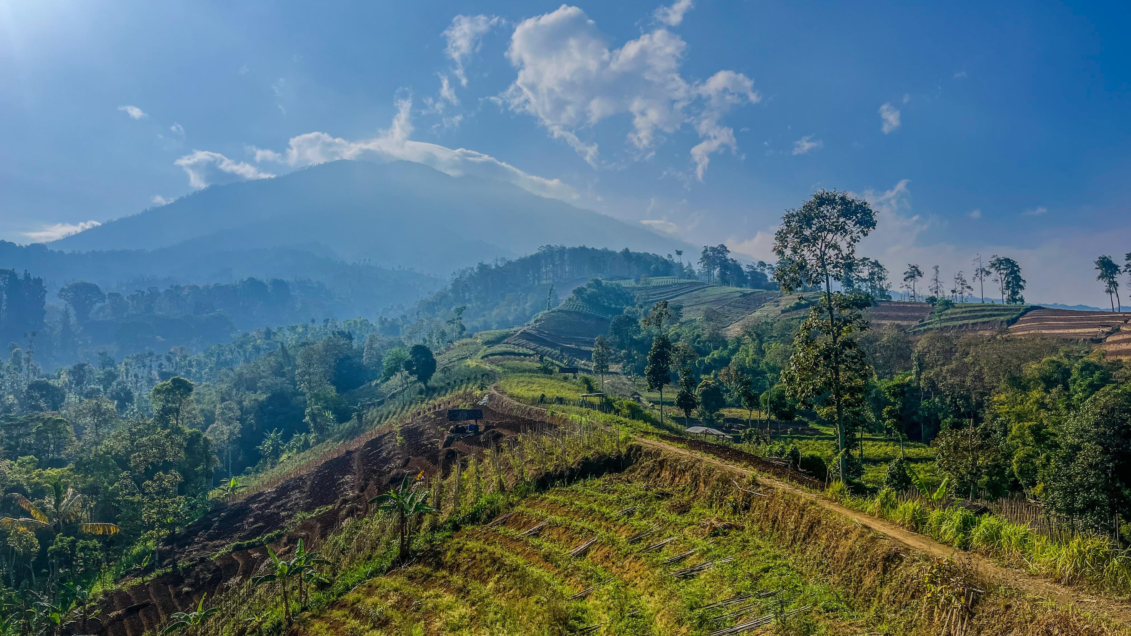 up view purworejo
